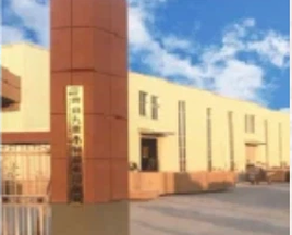 product-251-202 product-251-202