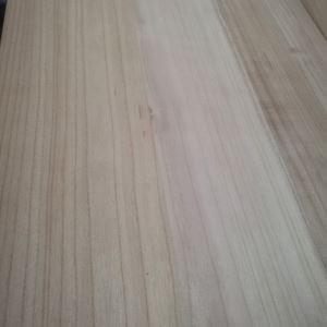 Пауловния съвет